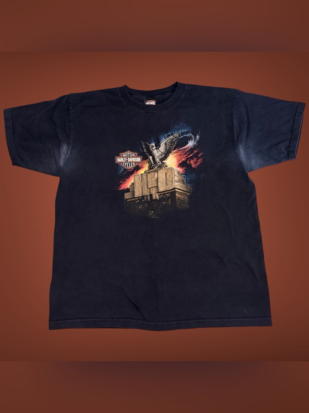 Vintage 2002 Y2K Harley-Davidson Men’s 2X Bald Eagle Monument T-Shirt USA Made